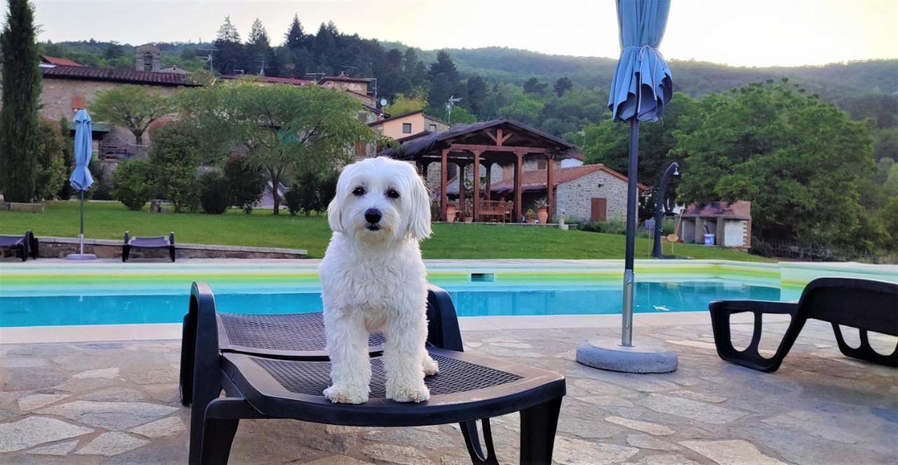 Podere Verdi Colline ป็อปปี ภายนอก รูปภาพ