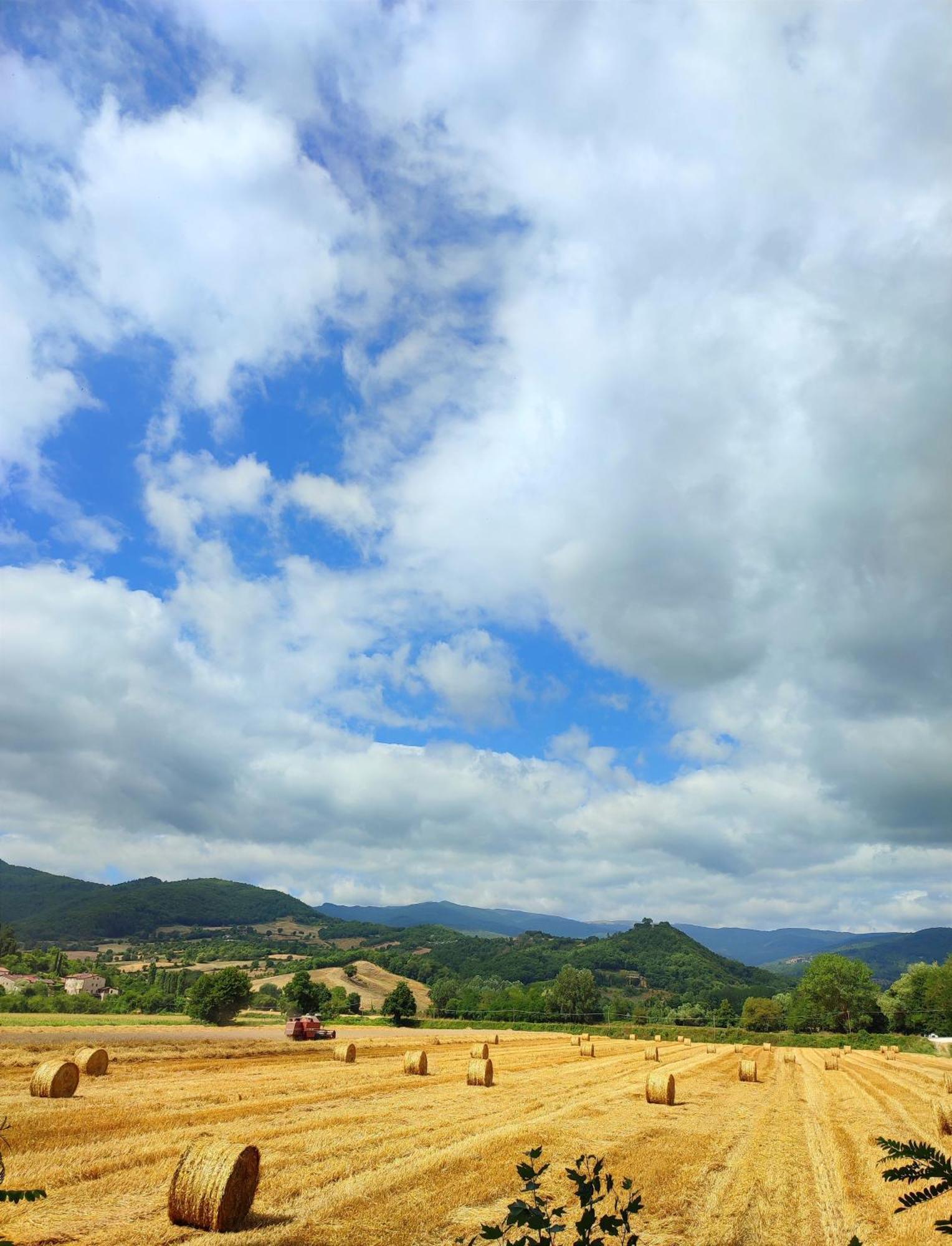 Podere Verdi Colline ป็อปปี ภายนอก รูปภาพ