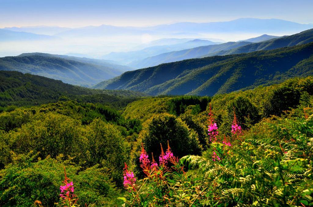 Podere Verdi Colline ป็อปปี ภายนอก รูปภาพ